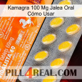 Kamagra 100 Mg Jalea Oral Cómo Usar new05